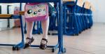 Rzecznik Praw Rodziców zbiera podpisy pod wnioskiem o referendum w sprawie obowiązku szkolnego dla sześciolatków 