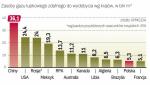 Największe złoża mają Chiny i USA