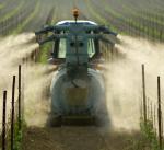 We francuskim rolnictwie najwięcej pestycydów przypada na winnice