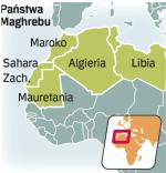 Arabska wiosna w Tunezji  i Egipcie oraz obalenie dyktatury Kadafiego w Libii miały wpływ na sytuację polityczną w całym regionie. 