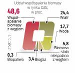 Biomasa dostarcza prawie połowę energii odnawialnej