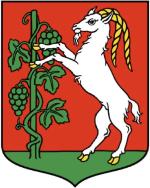 Samorząd Miasta  Lublin