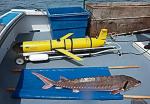 Robot OTIS  dwumetrowa podwodna torpeda do obserwowania ryb.