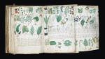 Karty manuskryptu Voynicha pokrywają nieznane znaki oraz kolorowe rysunki, z których tylko część udało się zidentyfikować. 