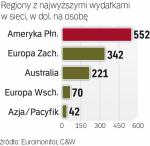 Przez internet najwięcej wydają Amerykanie