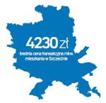  Szczecin  Za lokale kupujący płacą dziś ok. 3,3 proc. więcej niż rok temu