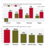 Kraje grupy Wyszehradzkiej liczą na współpracę  w zakresie bezpieczeństwa energetycznego