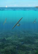 Podwodne latawce wytwarzające prąd nie zagrożą środowisku ani żegludze 