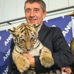 Andrej Babiš – bogaty, skuteczny i ambitny