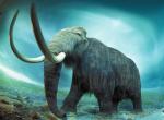 Gatunek mamuta włochatego nie wytrzymał zmian klimatu i szaty roślinnej 