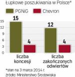 Firmy planują kolejne odwierty