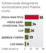 Polacy coraz bardziej online 