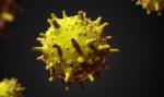 Wirus SARS został odkryty dzięki zbiorowej mądrości badaczy 
