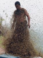 Bez pszczół i owadów zapylających rolnictwo długo nie przetrwa