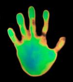 Termografia dłoni, Science Photo Librarys