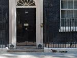 David Cameron nadal pozostaje gospodarzem przy Downing Street 10.  W posiedzeniach rządu brać będzie udział aż  11 nowych ministrów 