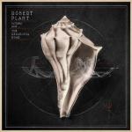 Robert Plant „Lullaby and . . . The Ceaseless Roar”,  Warner Music, CD, 2014