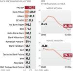 Wartość aktywów i kredytów BPH zmiejsza się z roku na rok