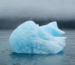 Modele komputerowe wskazują, że lody Arktyki znikną w połowie stulecia  