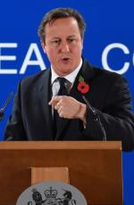 David Cameron chce pozostania Wielkiej Brytanii w Unii, ale na zmienionych warunkach