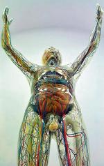 „Przezroczysty  człowiek”, 1995 (według oryginału Franza Tschackerta  z 1930), eksponat  z Muzeum Higieny  w Dreźnie