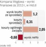 Spółka na minusie