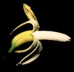 „Banan II”, 1995–2009, wydruk, płótno. Znak firmowy Natalii LL