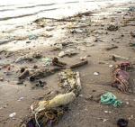 Najwięcej plastiku opada na dno lub leży na plażach 