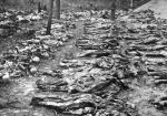 Reprodukcja fotografii dokumentującej przeprowadzoną wiosną  1943 r. ekshumację zwłok polskich oficerów zamordowanych  przez NKWD w lasach katyńskich 