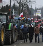Protestujący rolnicy domagają się rekompensat za zniszczone przez dziki uprawy