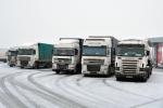 W Polsce działa niemal 29,5 tys. firm transportu międzynarodowego, które mają ponad 168 tys. ciężarówek