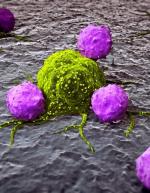 Komórki nowotworowe pod mikroskopem