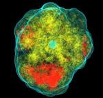 Supernowe to spektakularne eksplozje kończące życie gwiazdy