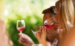 Małopolskimi winami częstuje swoich gości Winnica Krokoszówka Górska