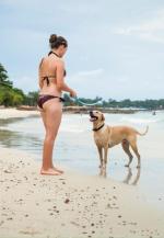 Właściciele psów twierdzą, że na plażach, na których można się pojawić z czworonogiem, jest czyściej niż na innych