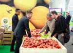 Stoisko LubApple zorganizowane podczas targów  Fruit Logistica Berlin 2015