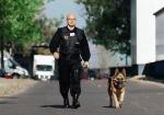 <Pracownik  ochrony może stosować  środki przymusu bezpośredniego, a do patrolowania rozległych terenów – wykorzystywać  psy służbowe.
