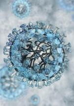Wirus AH1N1 co roku o tej porze zbiera śmiertelne żniwo