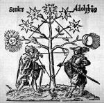 Spotkanie w sprawie kursów wymiany? Nie, Drzewo Alchemiczne („diagamiczne  i emblematyczne”) z traktatu Thomasa Nortona „Museum Hermeticum” (1749)