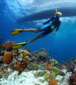 W maju wyruszy największa dotychczas ekspedycja naukowa badająca rafy koralowe Pacyfiku