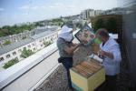 Pszczoły z uli ustawionych na dachu  hotelu Regent Warsaw Hotel dostarczają gościom świeżego miodu