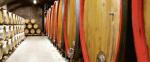 Bez współpracy, takiej jak w kooperatywie Klet Brda, przeciętnemu producentowi wina trudno byłoby myśleć nie tylko o eksporcie, ale także o rynku krajowym.
