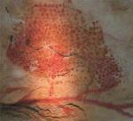 Żubr z jaskini Marsoulas namalowany 15 tys. lat temu