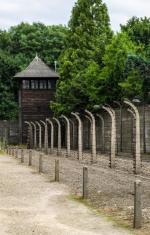 Na terenie obozu Auschwitz-Birkenau Niemcy zamordowali ponad milion osób.