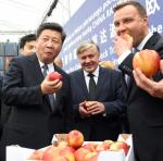 Chiny chcą robić interesy w Polsce, ale nie należy przeceniać znaczenia ich kapitału dla rozwoju polskiej gospodarki. Na zdj. prezydent Chin Xi Jinping z ministrem rolnictwa Krzysztofem Jurgielem oraz prezydentem Andrzejem Dudą podczas czerwcowej wizyty nad Wisłą.