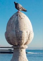 W Lizbonie ptaki wciąż rezydują na obrzeżach portu, a po Tagu pływają promy. Bez względu na porę roku.
