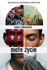 3. Hanya Yanagihara, Małe życie, przeł. Jolanta Kozak, W.A.B.