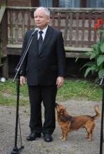 Nie jest tajemnicą, że prezes PiS jest miłośnikiem zwierząt  (w domu ma dwa koty). Na zdjęciu z psem podczas wizyty  w gospodarstwie rolnym na Mazowszu.