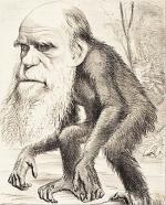 Karykatura Darwina z 1871 r., drwiąca z jego teorii ewolucji.
