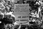 W latach 80. kilkakrotnie próbowano postawić krzyż poświęcony pamięci ofiar Katynia w tzw. Dolince Katyńskiej na Powązkach. Udało się to dopiero  w 1989 r. 